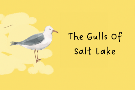 The Gulls Of Salt Lake