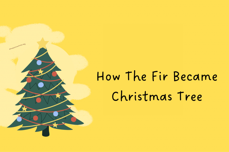 how-the-fir-tree-became-the-christmas-tree-bed-time-stories